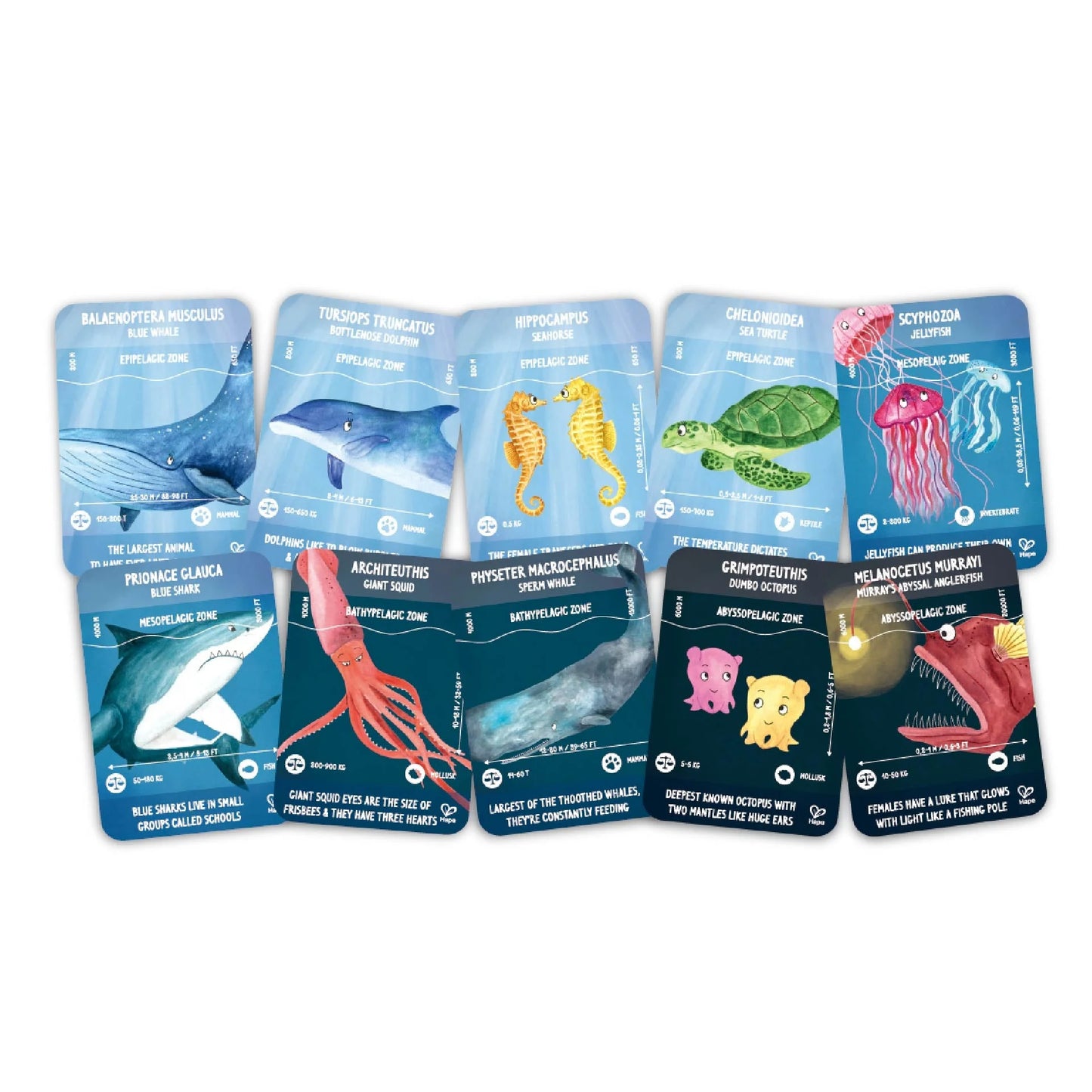 Hape Ocean Life Puzzle 200 Pieces Colorful Giant Long Puzzle