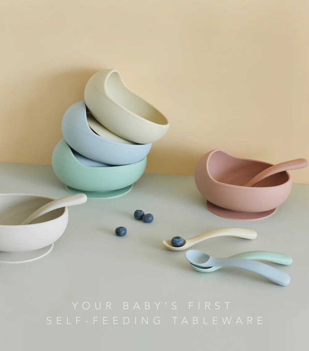 EASYFEED Silicone Bowl & Spoon Set
